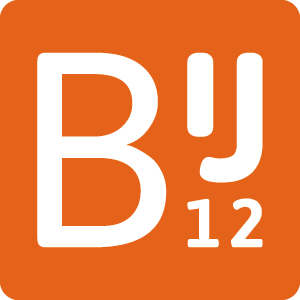 Logo Bij12 Pienk